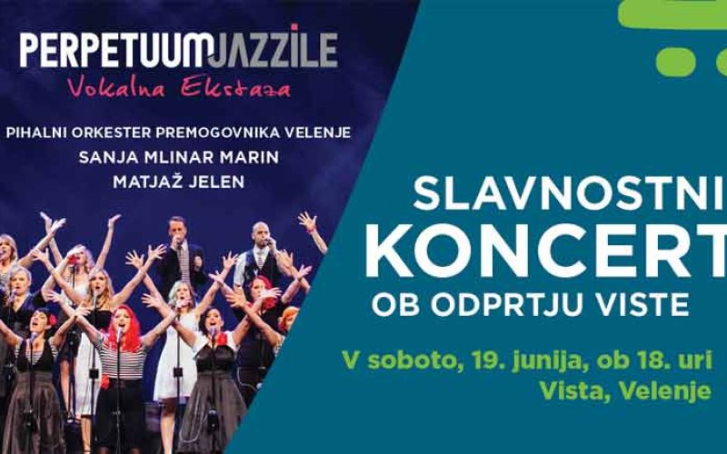 vista-koncert-perpetuum-jazzile