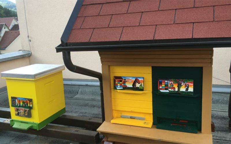 cebeljak-obcina-sostanj