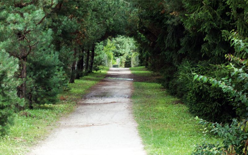 sprehajalna_pot_sostanj