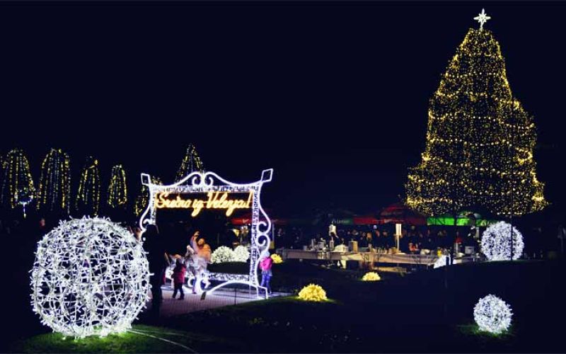 velenje_lucke_roman_bor