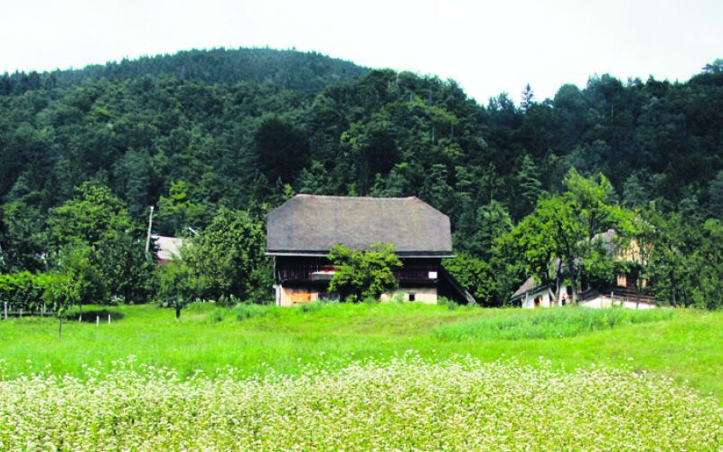 grilova domacija