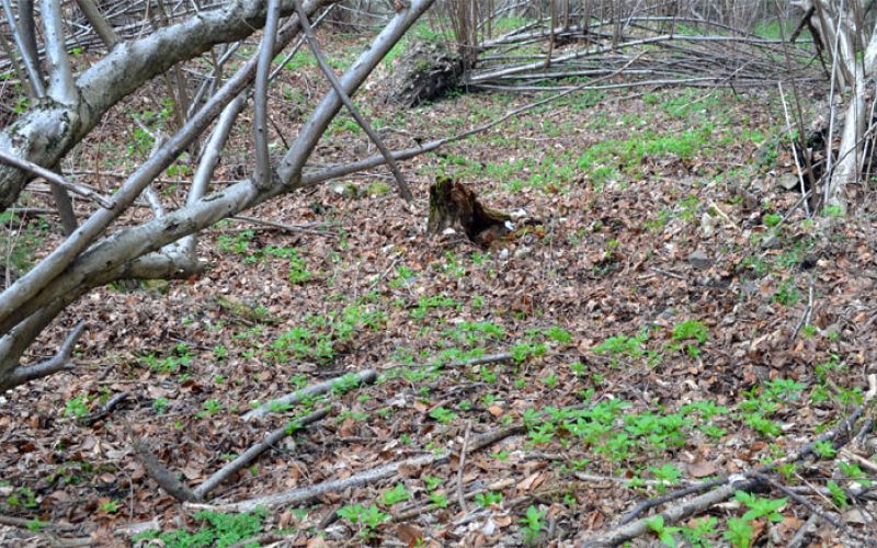 policista-resila-zivljenje