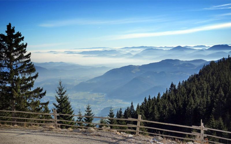 golte-razgled