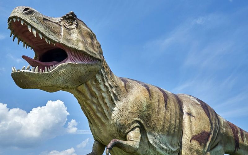 tiranozaver