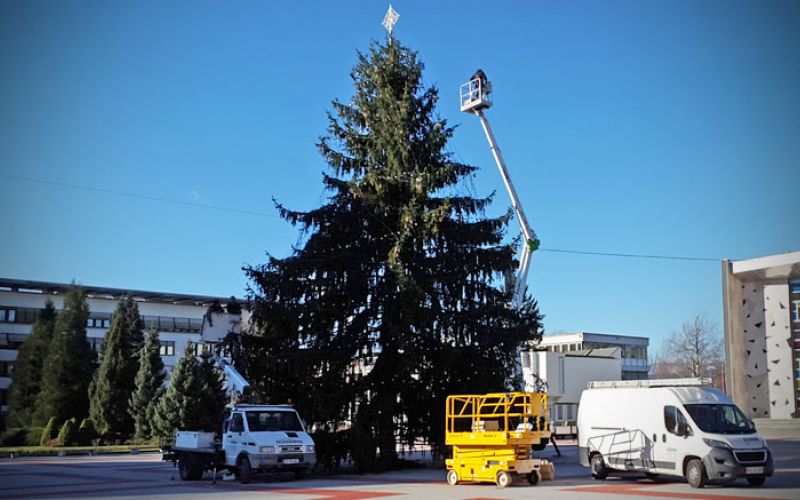 okrasevanje_novoletne_smreke_titov_trg_velenje