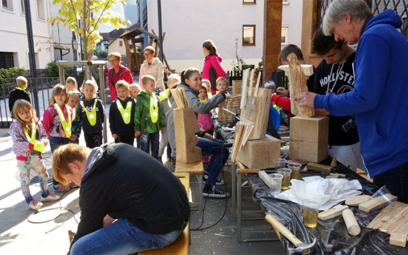 mala_napotnikova_kolonija