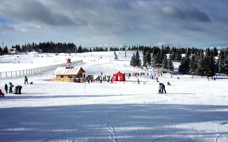 rogla, smucanje, solarji