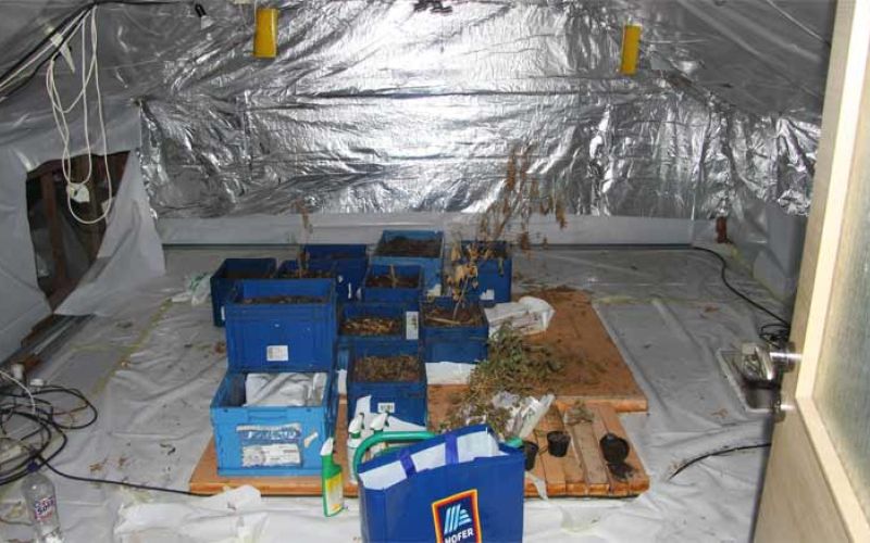 prostor-za-gojenje-konoplje-dravograd