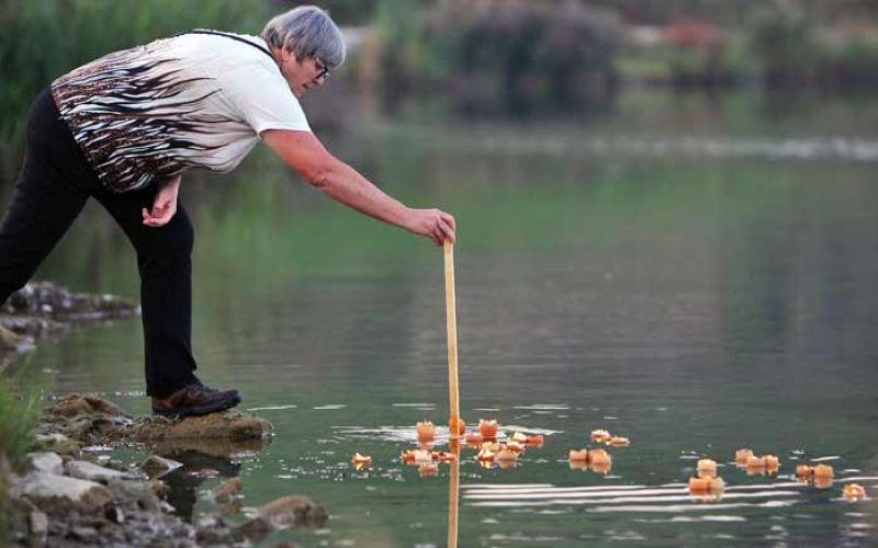 praznik-luci-sostanj3