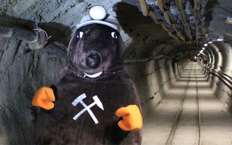 muzej-premogovnistva