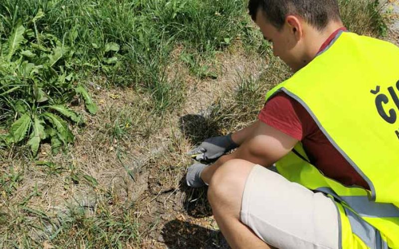 cisto-moje-velenje-dijaki-cistijo