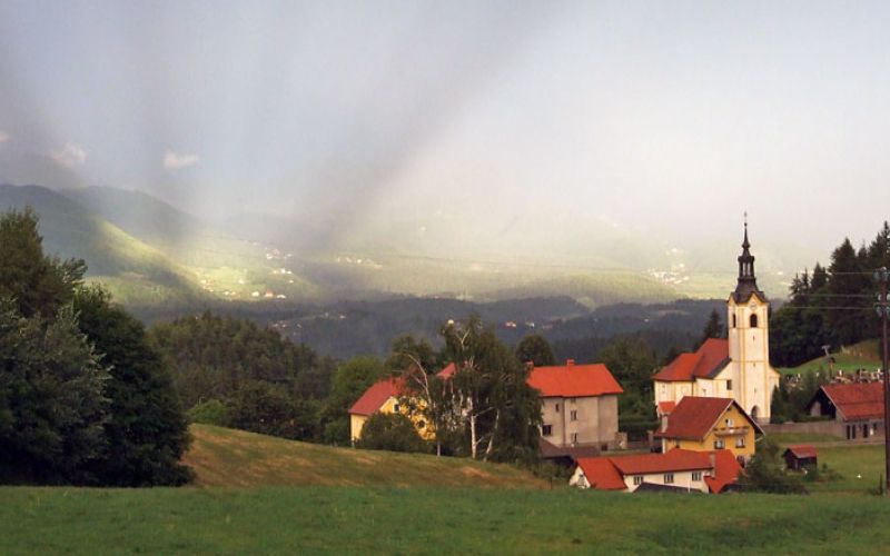 zavodnje_darko_vucina