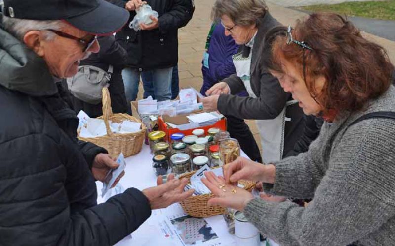 izmenjava-sadik-in-semen