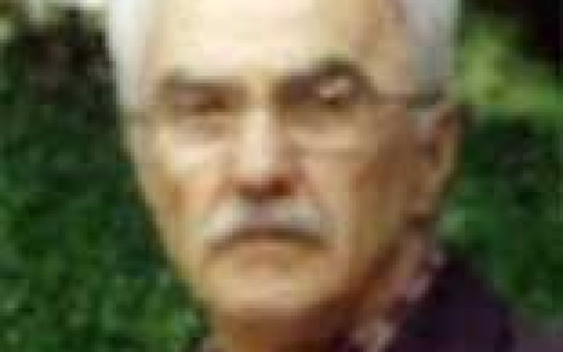 mustafa-selimovic