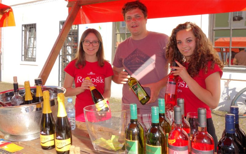 festival vina  sostanj