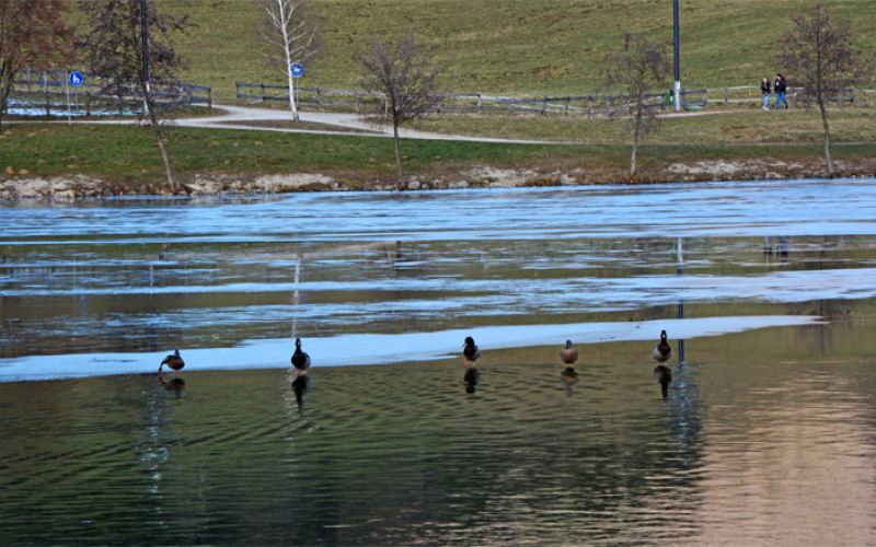 jezero-narava-sprehod-race