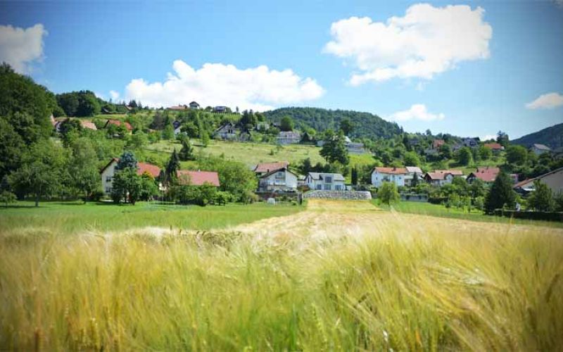 smartno-ob-paki-2020