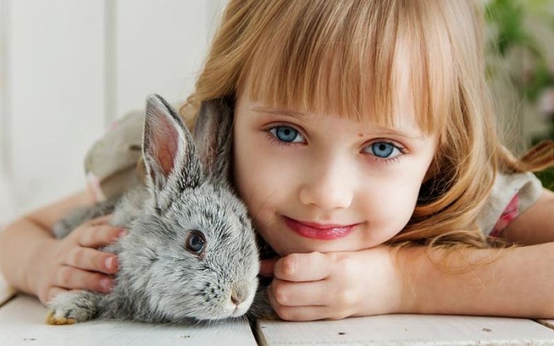 kmetija-zivali-zajec