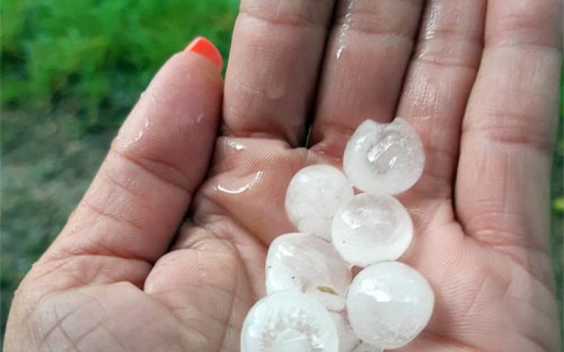 toca-mozirje_3-julij