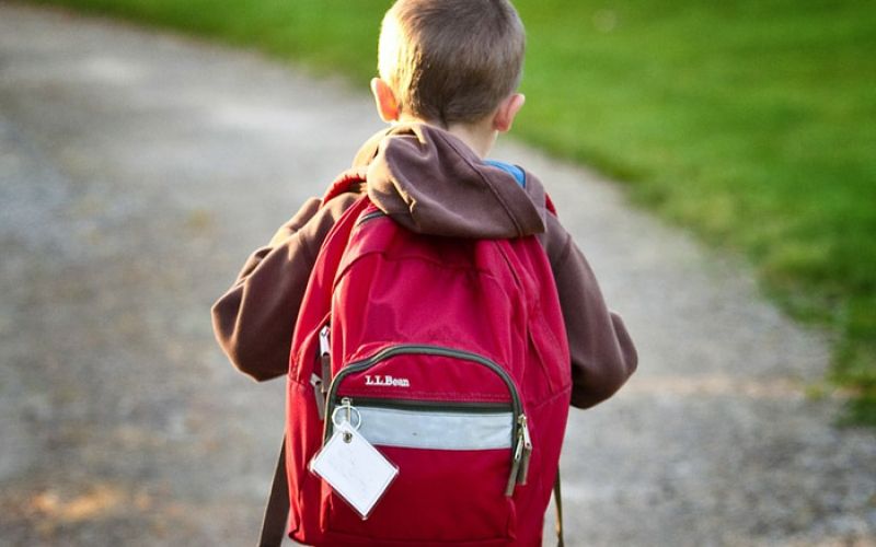 solar, sola, solska torba, potrebscine