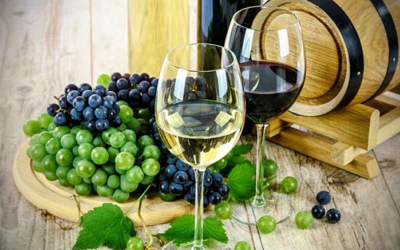 vino-vinska-pot-vinogradniki