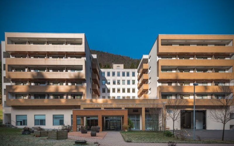 zimzelen_topolsica