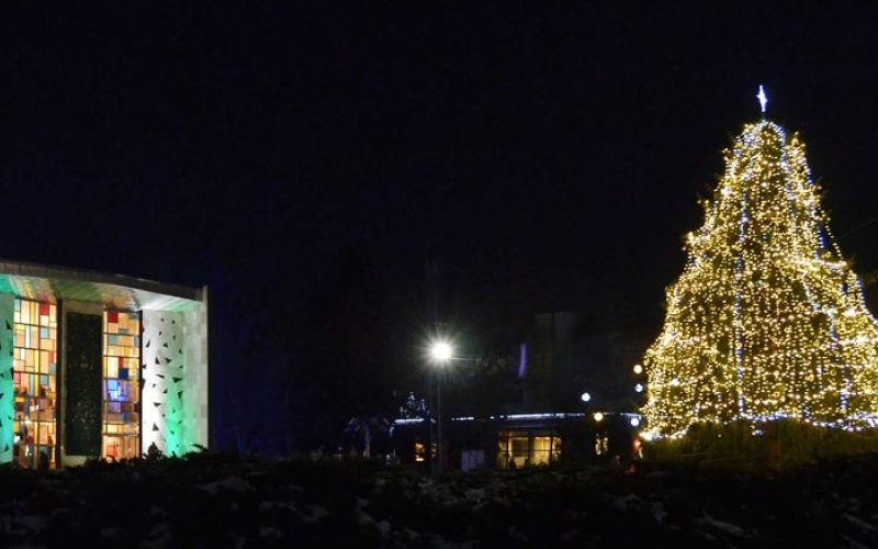 velenje_zima_lucke_2146