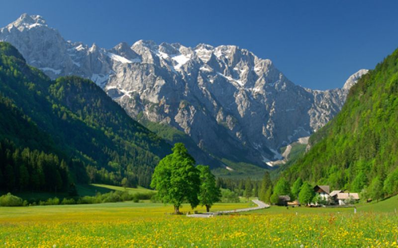 logarska