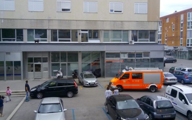 Reševanje psa