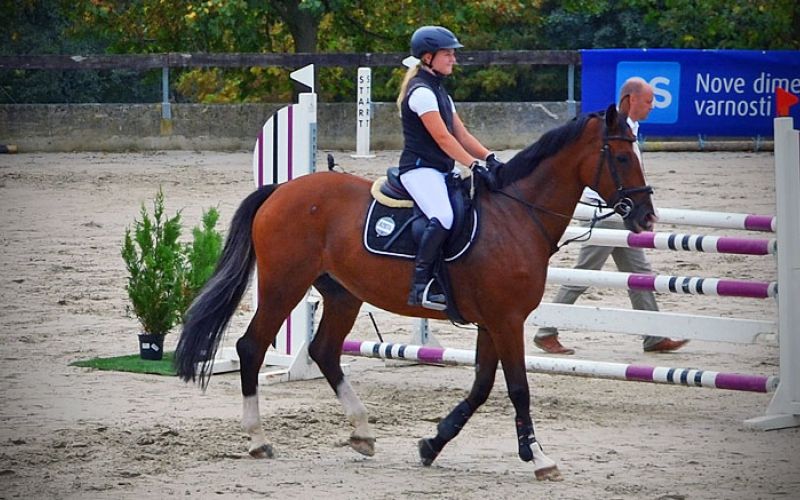 konjenisko-tekmovanje