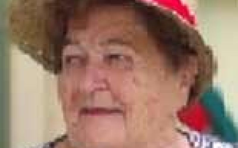 stanka-lipnik-camlek