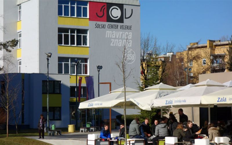 solski center scv