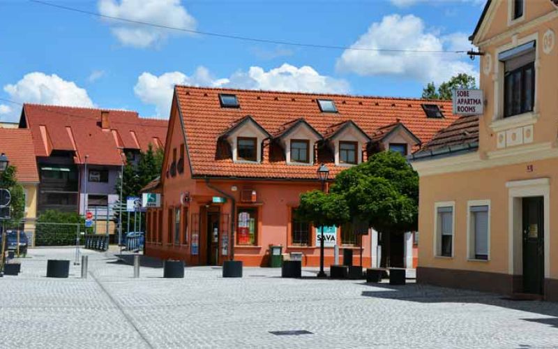 trg-bratov-mravljakov-sostanj_2020a