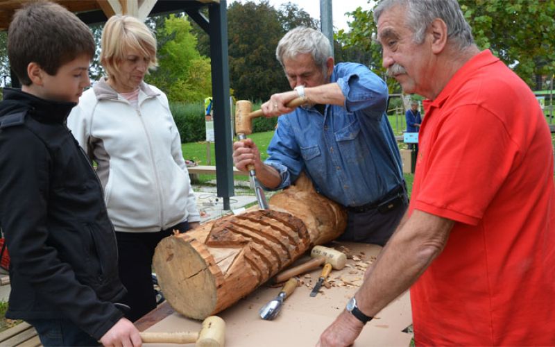 mala-napotnikova-kolonija-2017