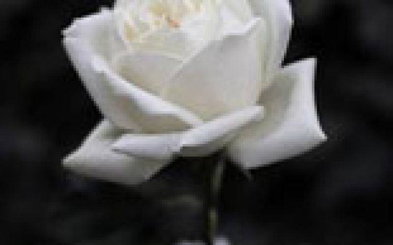 rudolf-črešnik-1942