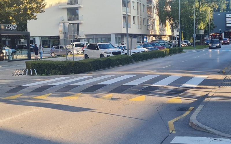 3d zebra na Rudarski