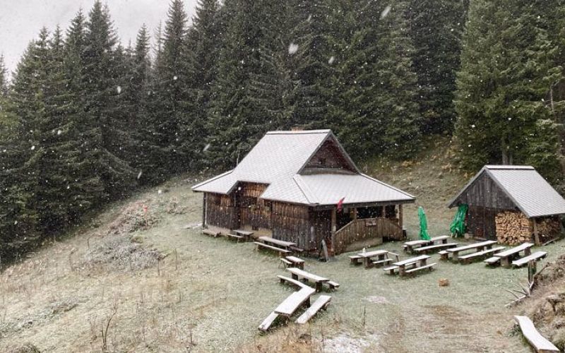 nadomestna-koca-golte