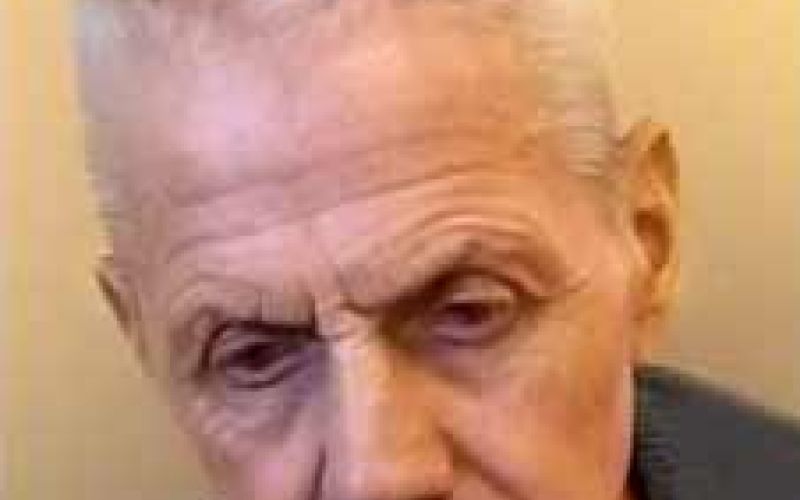 vili-navodnik