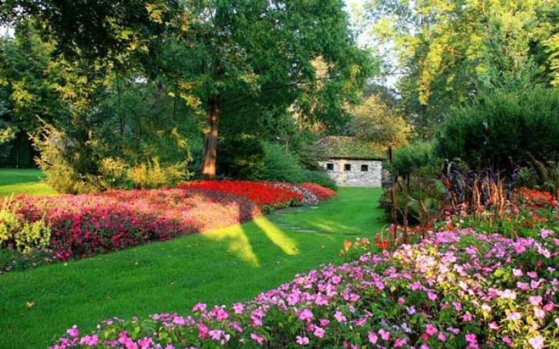 mozirski-gaj-poletna-razstava