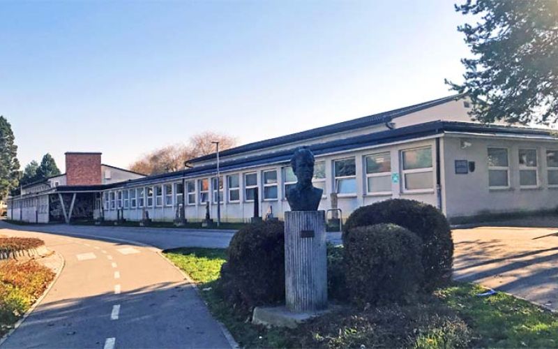 mpt-miha-pintar-toledo