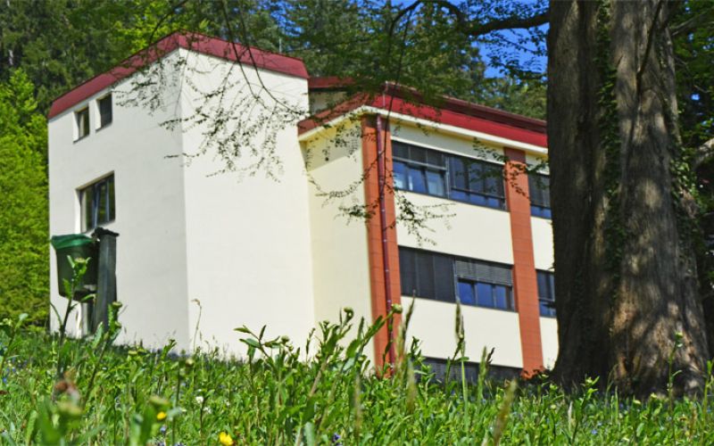 bolnica_topolsica_trava