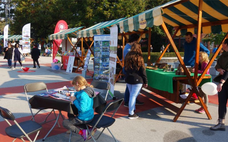 podjetno_velenje_2018a