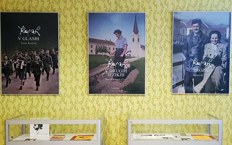 kajuh-v-barvah_104434