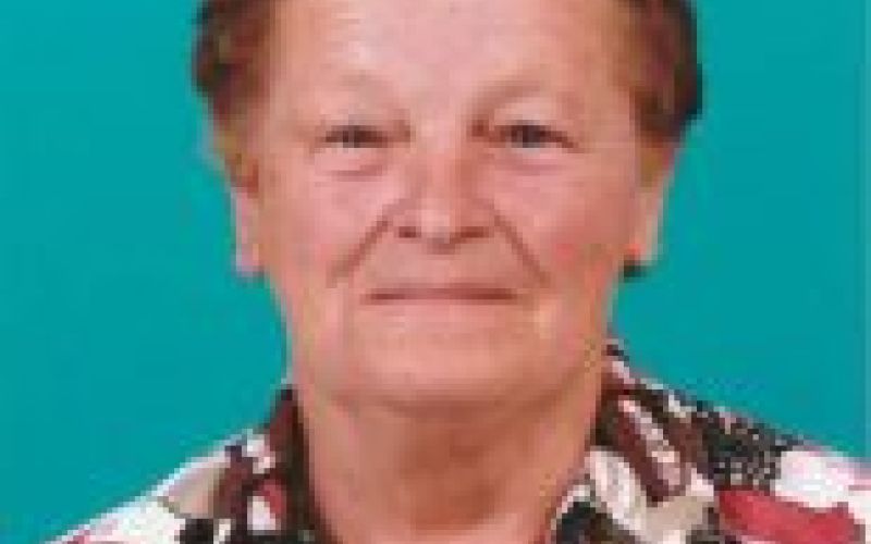 alojzija petkovnik