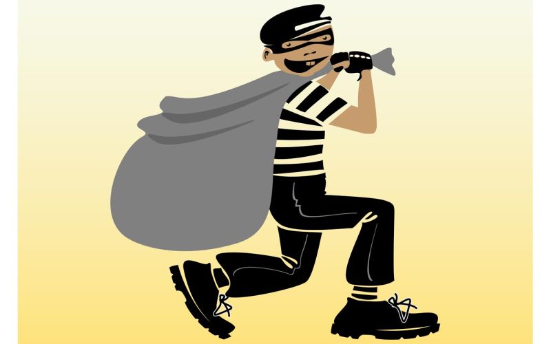 vector-thief