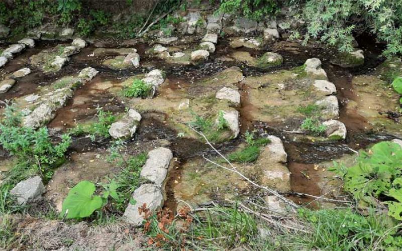 gojitveni-potok-lepena