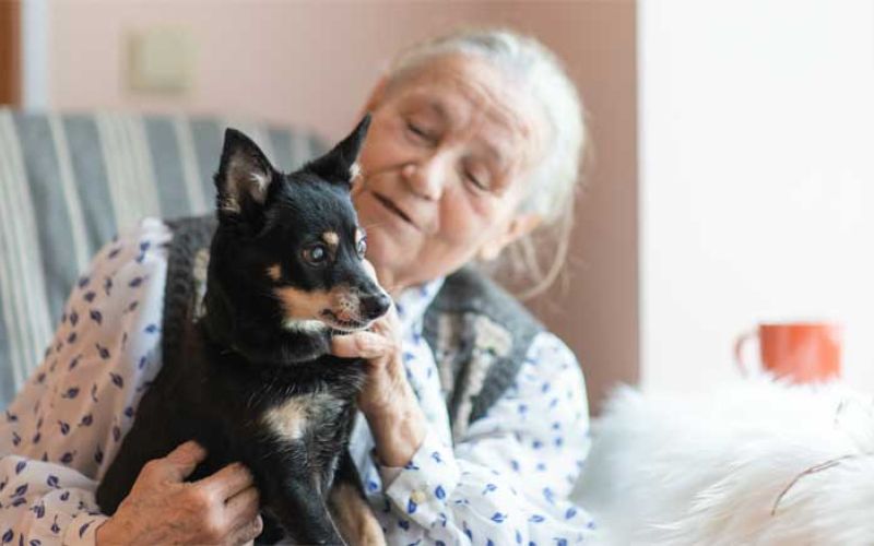 stari-ljudje,-pokojnina,-starostnik