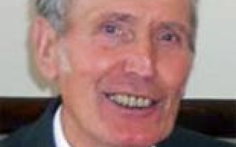 drago-videmsek