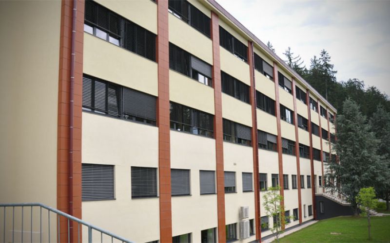 bolnisnica_topolsica_2017a