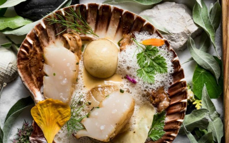 hisa-denk-jakobinke-1024×683